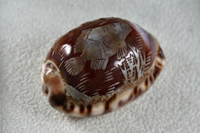 Load image into Gallery viewer, Engraved Fish "Shell Art" Seashell Threaded Pendant