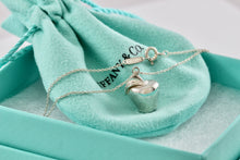 Load image into Gallery viewer, Tiffany &amp; Co. Silver 3D Apple Charm Pendant 18&quot; Chain Necklace RARE
