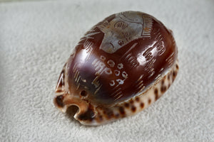 Engraved Fish "Shell Art" Seashell Threaded Pendant