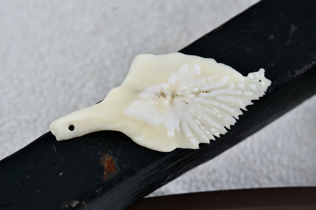 Sea Creature Bone Fragment Pendant