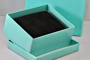 Tiffany & Co. Large Black Suede Silk Earrings Presentation Box Packaging