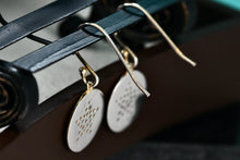 Load image into Gallery viewer, Sterling Silver CZ Stone Pave Star Disc Hook Earrings
