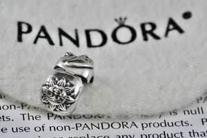 Pandora Silver Day & Night Bead Clip Charm Pendant (791208CZ)