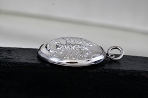 Sterling Silver Scorpion Scorpio Zodiac Acrylic Round Circle Charm Pendant