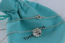 Load image into Gallery viewer, Tiffany &amp; Co. Paloma Picasso Small Silver Crown of Hearts Necklace
