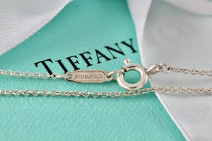 Tiffany & Co. Silver Standard Chain Necklace