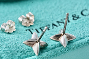 Tiffany & Co. Elsa Peretti Silver Sirius Star Stud Earrings