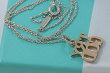 Load image into Gallery viewer, Tiffany &amp; Co. 14K Gold &quot;Try God&quot; Pendant w/Silver Chain Necklace
