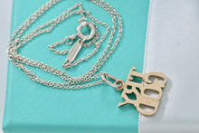 Load image into Gallery viewer, Tiffany &amp; Co. 14K Gold &quot;Try God&quot; Pendant w/Silver Chain Necklace
