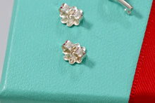 Load image into Gallery viewer, Tiffany &amp; Co. Silver Mini Key Earrings
