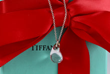 Load image into Gallery viewer, Tiffany &amp; Co. Elsa Peretti Silver Crystal Teardrop Pendant Necklace
