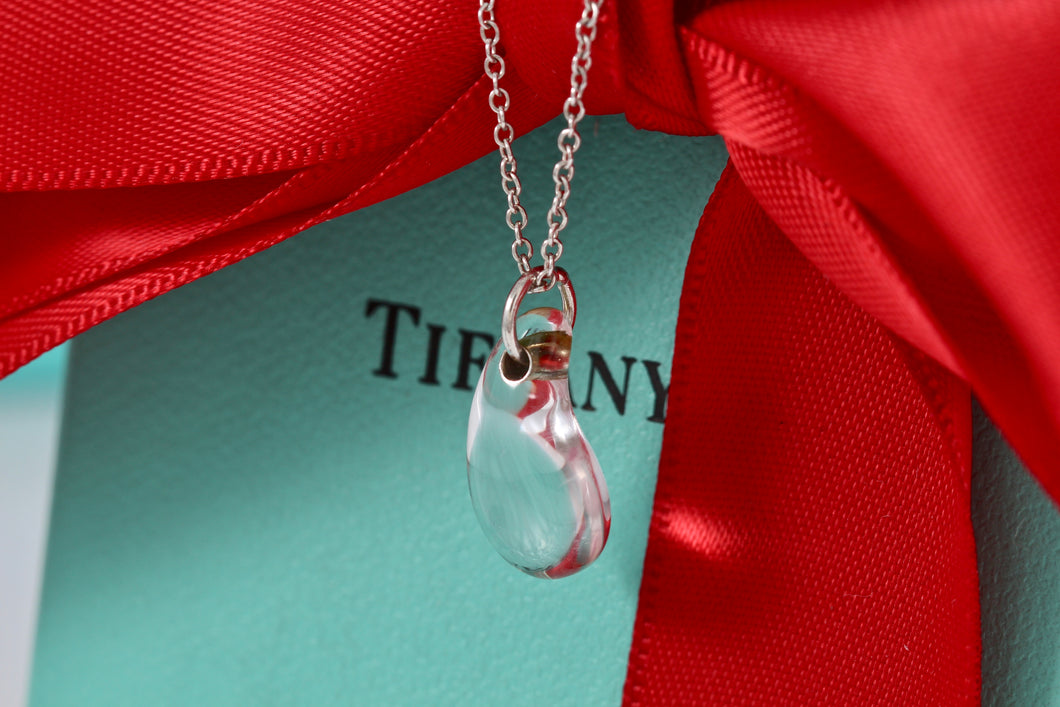 Tiffany & Co. Elsa Peretti Silver Crystal Teardrop Pendant Necklace
