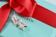 Load image into Gallery viewer, Tiffany &amp; Co. Elsa Peretti Silver Star Moon Cufflinks
