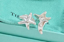 Load image into Gallery viewer, Tiffany &amp; Co. Elsa Peretti Silver Star Moon Cufflinks

