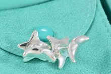 Load image into Gallery viewer, Tiffany &amp; Co. Elsa Peretti Silver Star Moon Cufflinks

