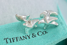 Load image into Gallery viewer, Tiffany &amp; Co. Elsa Peretti Silver Star Moon Cufflinks
