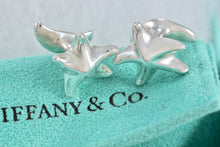 Load image into Gallery viewer, Tiffany &amp; Co. Elsa Peretti Silver Star Moon Cufflinks
