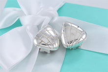 Load image into Gallery viewer, Tiffany &amp; Co. Nature Silver Reptile Texture Triangle Clip-on Earrings
