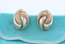 Load image into Gallery viewer, Tiffany &amp; Co. Nature Silver Reptile Texture Clip-on Earrings
