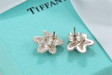 Load image into Gallery viewer, Tiffany &amp; Co. Nature Silver Bumpy Starfish Stud Earrings
