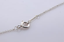 Load image into Gallery viewer, Tiffany &amp; Co. Paloma Picasso Silver Small Venezia Luce Swirl Necklace
