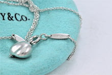 Load image into Gallery viewer, Tiffany &amp; Co. Elsa Peretti Silver Bean Nugget Pendant Necklace
