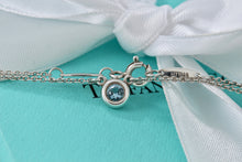 Load image into Gallery viewer, Tiffany &amp; Co. Elsa Peretti Color By The Yard Aquamarine Necklace
