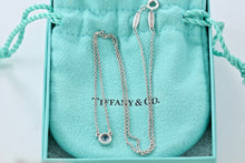 Load image into Gallery viewer, Tiffany &amp; Co. Elsa Peretti Color By The Yard Aquamarine Necklace
