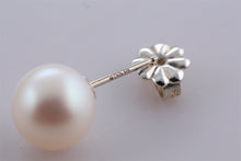 Load image into Gallery viewer, Tiffany &amp; Co. Silver 8mm Pearl Stud Earrings
