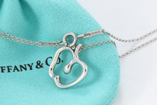 Load image into Gallery viewer, Tiffany &amp; Co. Elsa Peretti Silver Apple Necklace
