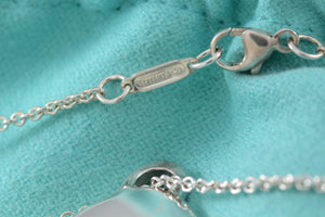 Tiffany & Co. Silver Vintage Plain Oval Tag Chain Necklace