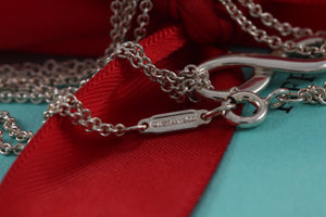 Tiffany & Co. Infinity Silver Double Chain Necklace